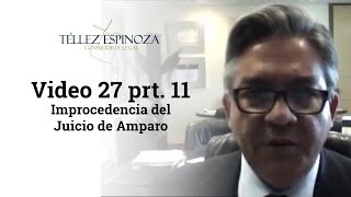 Video 27 prt 11 Improcedencia del Juicio de Amparo [upl. by Nnaitak]