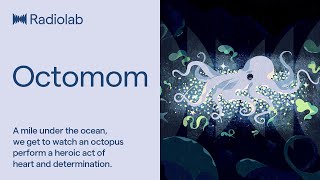 Octomom  Radiolab Podcast [upl. by Tait]