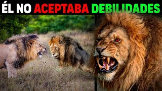 La Naturaleza CREA MONSTRUOS  Leones Rekeros DOCUMENTAL COMPLETO [upl. by Mab]