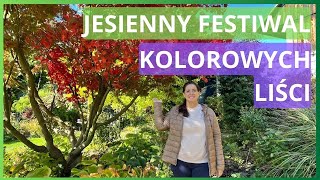 Festiwal kolorowych liści ogrodnictwo [upl. by Carla270]