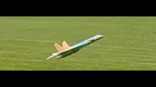 Final Check Flight Firefox Twin40 EDF 3D printed plane PTIKYLE Movie Firefox Clint Eastwood [upl. by Areikahs875]