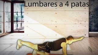 Lumbares a 4 patas [upl. by Airot]