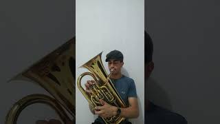 BombardinoEuphonium 🎶🎺 Hino 84 CCB  Quão amável é a Tua casa ccb bombardinoccb hinosccb [upl. by Alodee449]