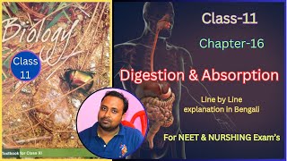 Digestion and Absorption Class 11 for NEET Harunbiozone [upl. by Nnep]