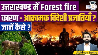 Invasive Alien Species  Responsible For Forest Fire In Uttarakhand  UPSC CSE  StudyIQ IAS Hindi [upl. by Stesha]