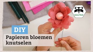 Papieren bloemen knutselen 🌸 drie varianten  Bloemen maken van papier 💐 [upl. by Hatti]