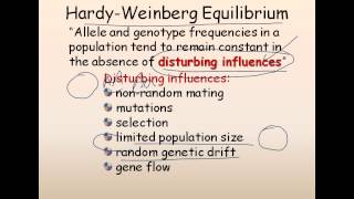 21 Population genetics Hardy Weinberg equilibrium [upl. by Drawyah]