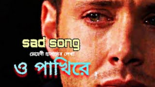 ও পাখিরে  O pakhire  bangla sad song  TasherGhor song [upl. by Carothers]