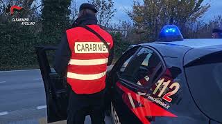 Conferenza dei Carabinieri per il contrasto alle violazioni ambientali [upl. by Enyamert]