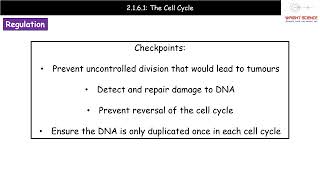 A Level Biology  2161  The Cell Cycle [upl. by Bay745]