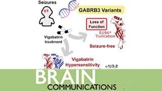 Gainoffunction GABRB3 variants identified in vigabatrinhypersensitive epileptic encephalopathies [upl. by Mellen]