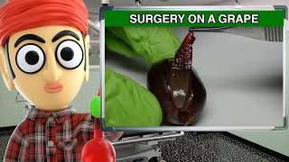 They Did Surgery On A Grape  Runforthecube Food Review [upl. by Ateiluj167]