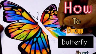 Learn How to draw beautiful butterfly 🦋🦋🦋 with colour pencil butterfly drawing pencil [upl. by Cirdes]