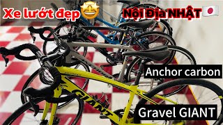 Thanh Tỷ  GIANT anyroadroad Anchor carboncity bikemini Nội Địa Nhật🇯🇵 [upl. by Adnoved]