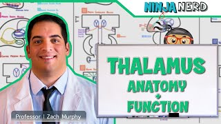 Physiology of Blood coagulation Animation  Extrinsic and intrinsic pathway [upl. by Nochur]