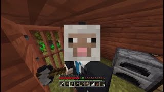 tanta roba in sto video Minecraft EP 4 [upl. by Yhtimit]