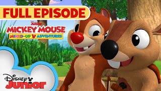 Dales New Pal  S1 E32  Full Episode  Mickey Mouse MixedUp Adventures  disneyjr [upl. by Anestassia]