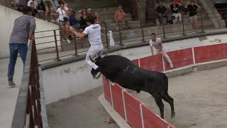 BELLEGARDECourse CamarguaiseLigue21062023 [upl. by Hagan594]