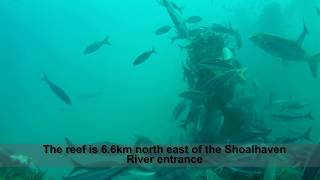 Crazy fish action at the Shoalhaven offshore artificial reef [upl. by Assisi]