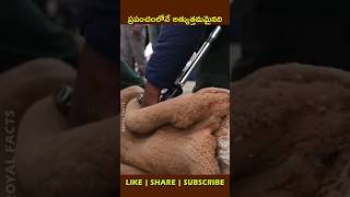 Worlds Finest Natural Fibershortvideo factsintelugu youtubeshorts [upl. by Ttnerb]