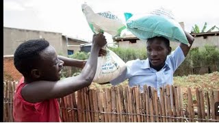 ABAKOZI BO MURUGO WE😭😭😭😭😭😭😭 HARICYO MUTAMENYE ni ayahe mabanga bagira [upl. by Bartosch]