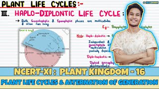 Plant Kingdom Lec 16 Plant Life Cycles amp Alternation of Generations Class 11 NEET Neetology [upl. by Tavy]