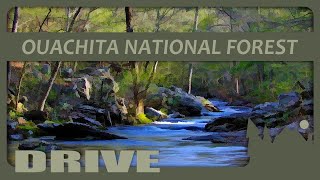 185 Drive through southwestern Ouachita National Forest where no action occurs [upl. by Ailad878]