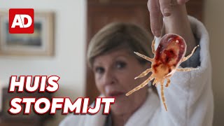 Hoe maak je je slaapkamer huismijtvrij 🎥 Schoonmaken met Marja [upl. by Yetti]