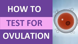 How to Take an Ovulation Test Clearblue for Pregnancy  Ovulation Symptoms amp Test Kit [upl. by Cookie]