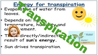 Factors affecting transpiration AQA AS level Biology [upl. by Burkhardt]