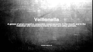 Medical vocabulary What does Veillonella mean [upl. by Ku]