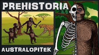 Australopitek  Chodząca quotMałpaquot  Prehistoria  Odc2  Historia na Szybko [upl. by Airpal49]