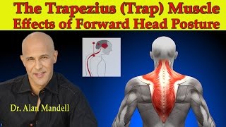 The Trapezius Trap MuscleThe Major Effects of Forward Head Posture  Dr Mandell [upl. by Felice]