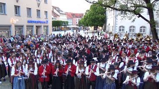 Hoch u Deutschmeister  Rathauskonzerte 2017 in RV [upl. by Isabea604]