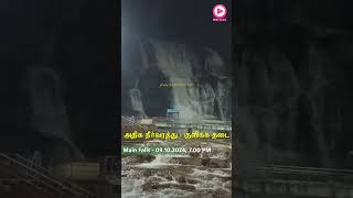 Flood in Main Falls  09102024 700 PM  High Waterflow  Bathing Banned  Kutralam Live [upl. by Eleira71]