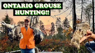 October Partridge Grouse Hunting Ontario [upl. by Olimpia]