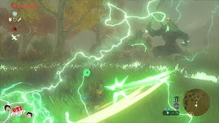 ZELDA BREATH OF THE WILD  Tutorial How to Solve the Riddles Of Hyrule Side Quest in Korok Forest [upl. by Dulcia]