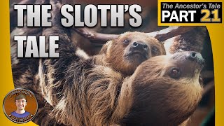 The Sloths Tale [upl. by Einhpets]