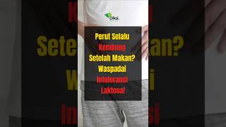 Perut Selalu Kembung Setelah Makan Waspadai Intoleransi Laktosa youtubeshot infosehat [upl. by Ric]