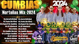 💥Norteñas para bailar 2024 💃🏽 Norteñas Mix 💃🏽 Cumbias Norteñas 💃🏽 Cumbias Mix 2024💥 [upl. by Tini595]