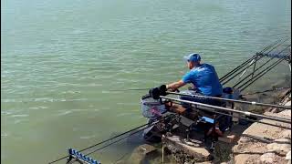 fayon 1 división aragonesa absoluto haciendo pesca de alburno [upl. by Amadas]