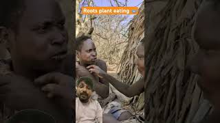 Eating roots plant africa hadzabetribe animals wildlife nature villagelife [upl. by Fitzgerald]