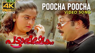 Poocha Poocha Video Song  Pattabhishekam 4K  Jayaram  Mohini  BernyIgnatius  M G Sreekumar [upl. by Leyes]