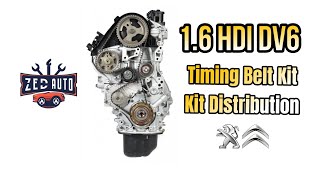 Peugeot Partner 16 HDI DV6 Timing Belt Replacement [upl. by Ahsial181]