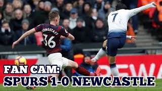 FAN CAM Tottenham 10 Newcastle HeungMin Son 손흥민 孫興慜 Does it Again Spurs Up to 2nd 02022019 [upl. by Ophelia]