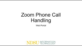 Zoom Phone Call Handling 225 [upl. by Lavery]