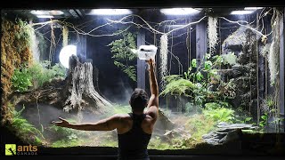 I Unleashed a Swarm of Huntsman Spiders Into My Giant Rainforest Vivarium [upl. by Fleur]