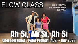 FLOW  Ah Si Ah Si Ah Si  LINE DANCE  Ab Beginner  Peter Probert [upl. by Carnay174]