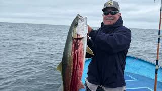 Cedros Island Fishing June 2024 [upl. by Aronoh]