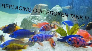 Replacing Our BUSTED AllMale Cichlid Tank [upl. by Gewirtz658]